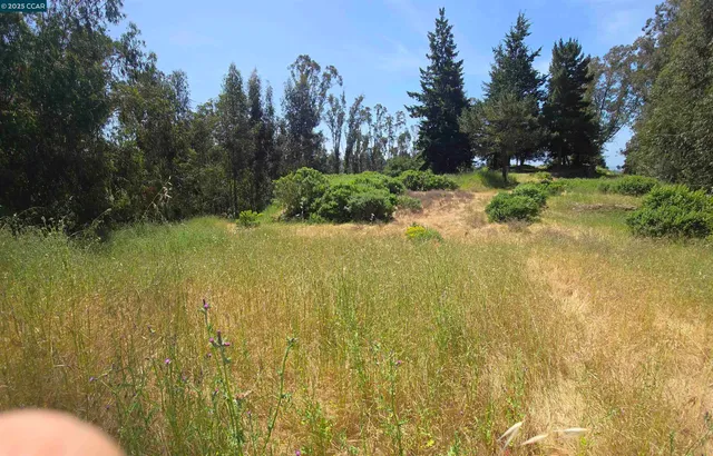 a view of a lake view