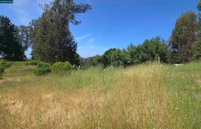 a view of a lake from a yard