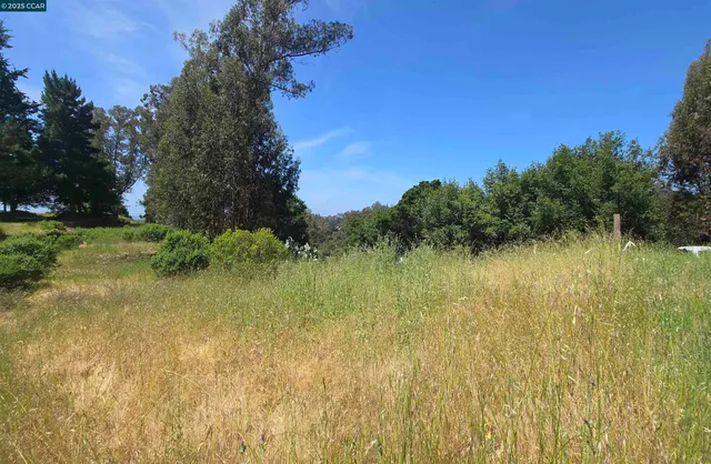 a view of a lake with a tree in the background