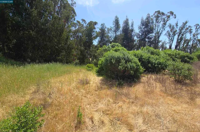 a view of a lake with a yard