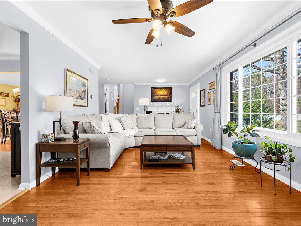 8195 Old Mill Road Pasadena, MD 21122 - Photo 11 of 51 ...ceiling fan