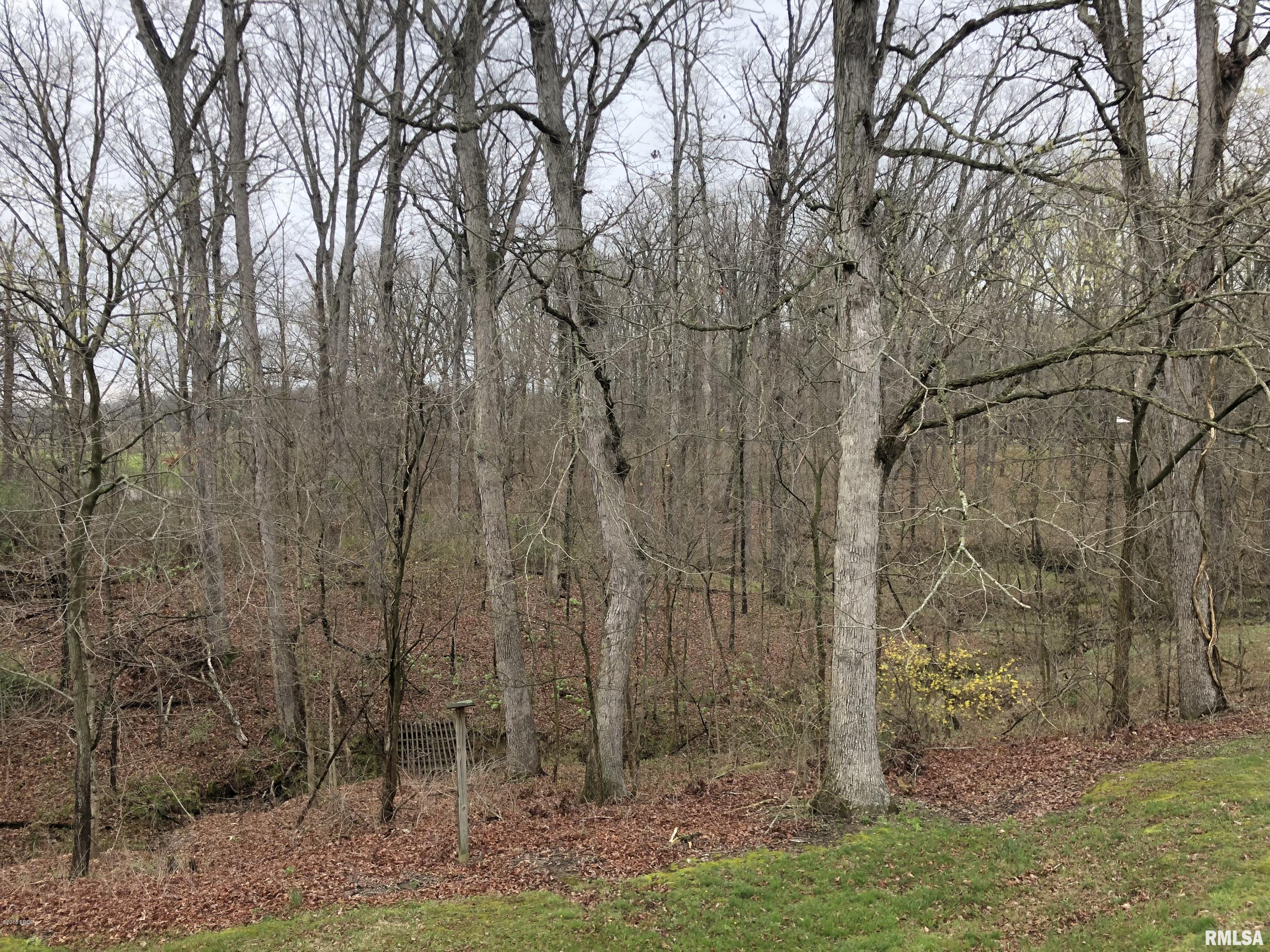 6658 Fox Road Salem, IL 62881 - Photo 17 of 36