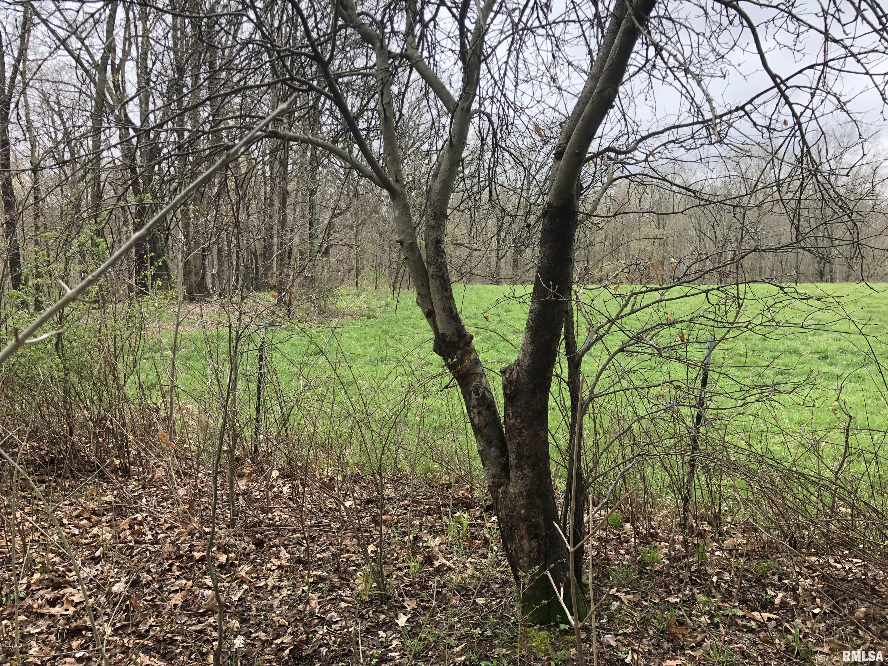 6658 Fox Road Salem, IL 62881 - Photo 25 of 36