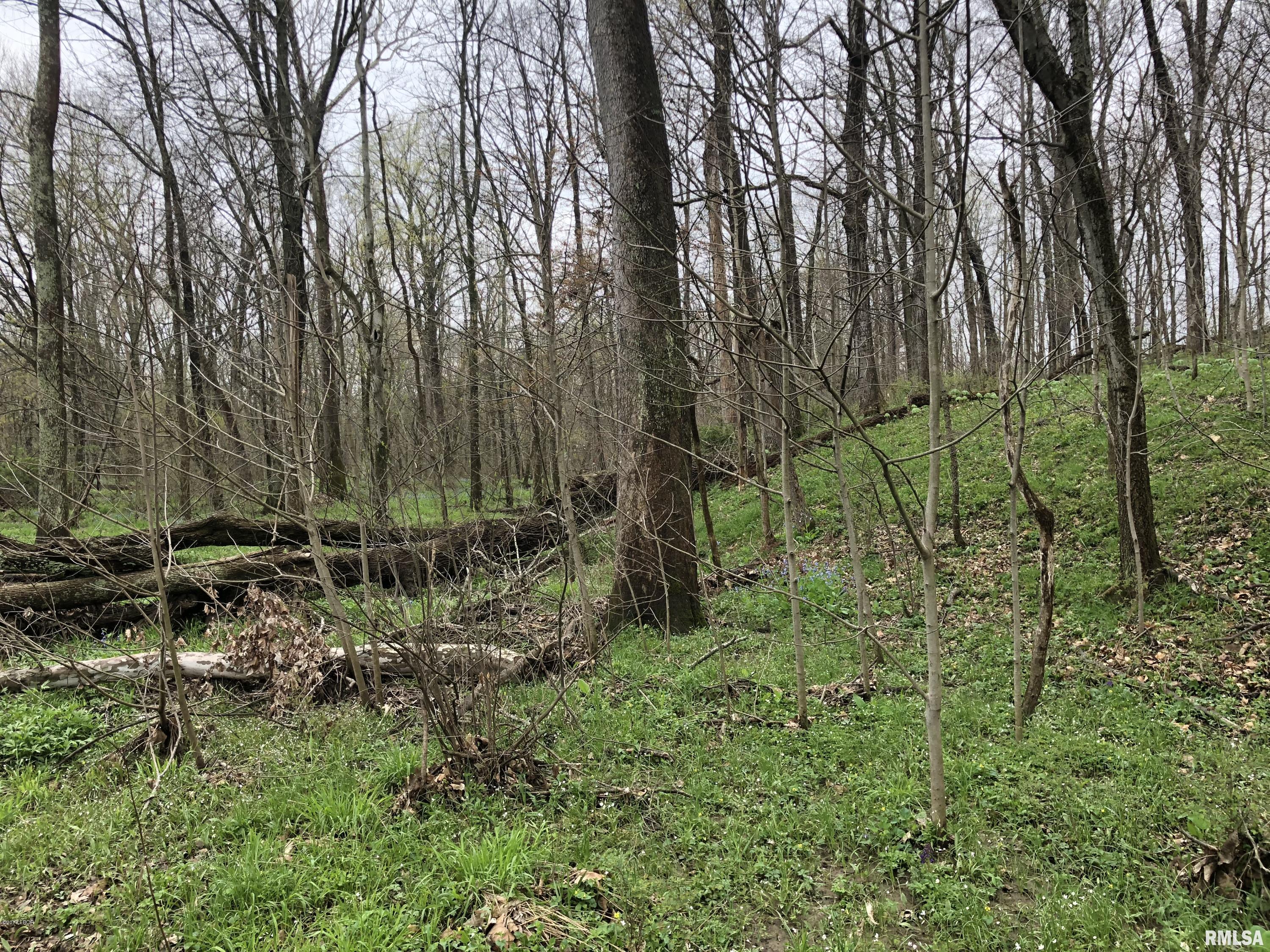 6658 Fox Road Salem, IL 62881 - Photo 27 of 36