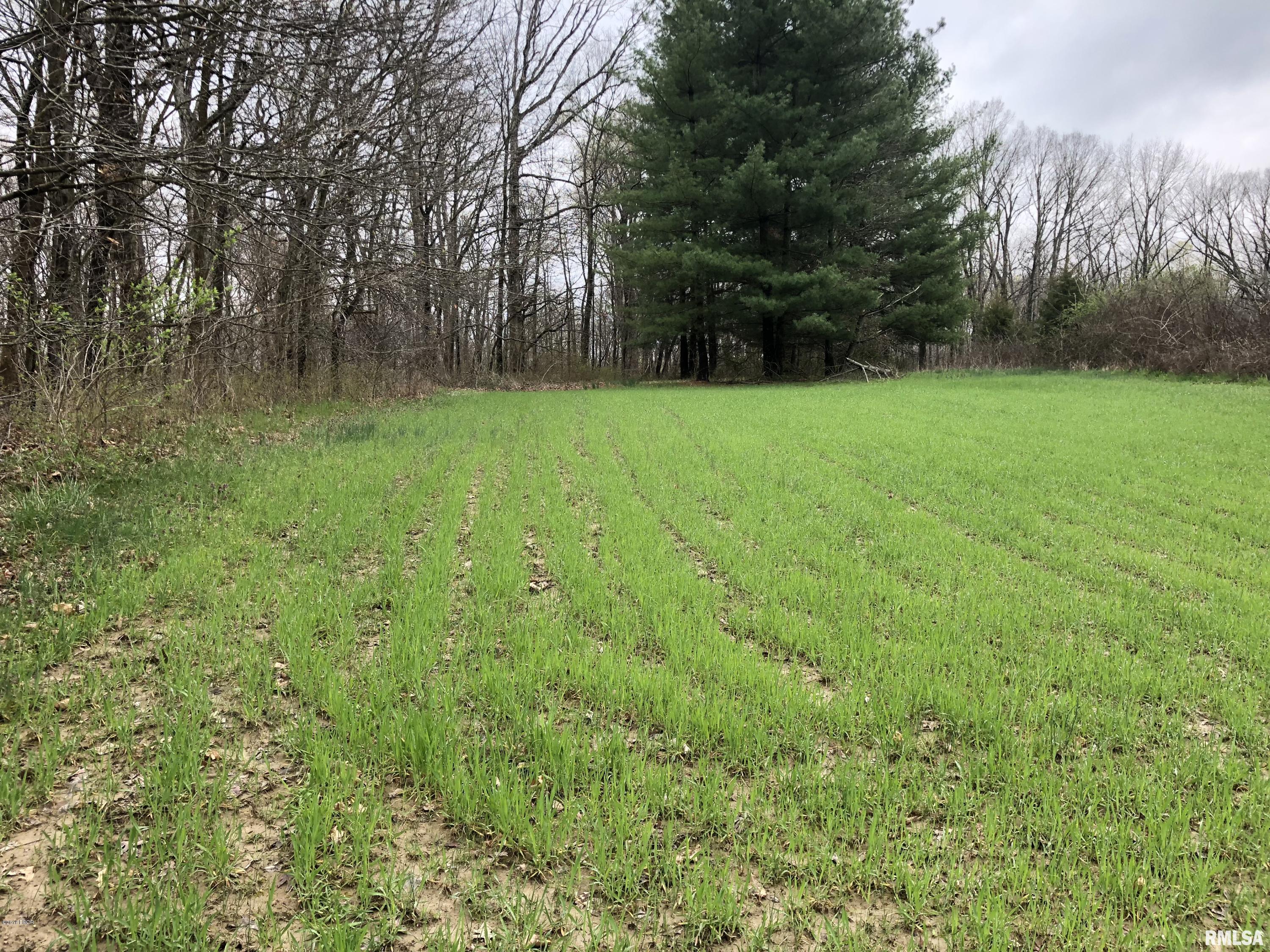 6658 Fox Road Salem, IL 62881 - Photo 32 of 36