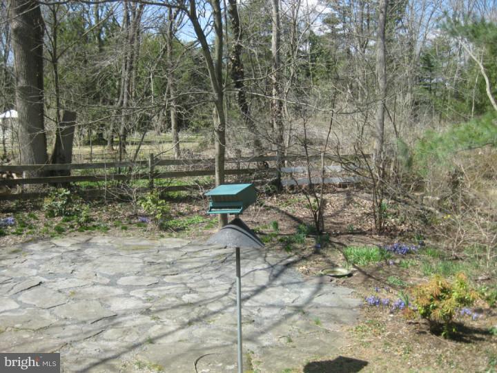 340 Jefferson Road Princeton, NJ 08540 - Photo 12 of 12 a view of a yard with plants and large trees