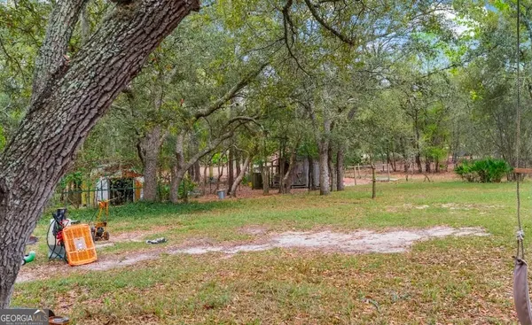 a view of a park with large trees