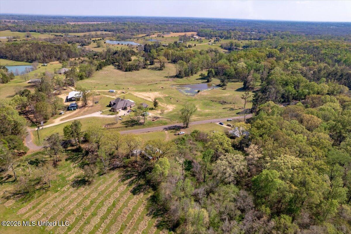 2081 Johnston Road Benton, MS 39039 - Photo 28 of 32 37-DJI_0994-HDR