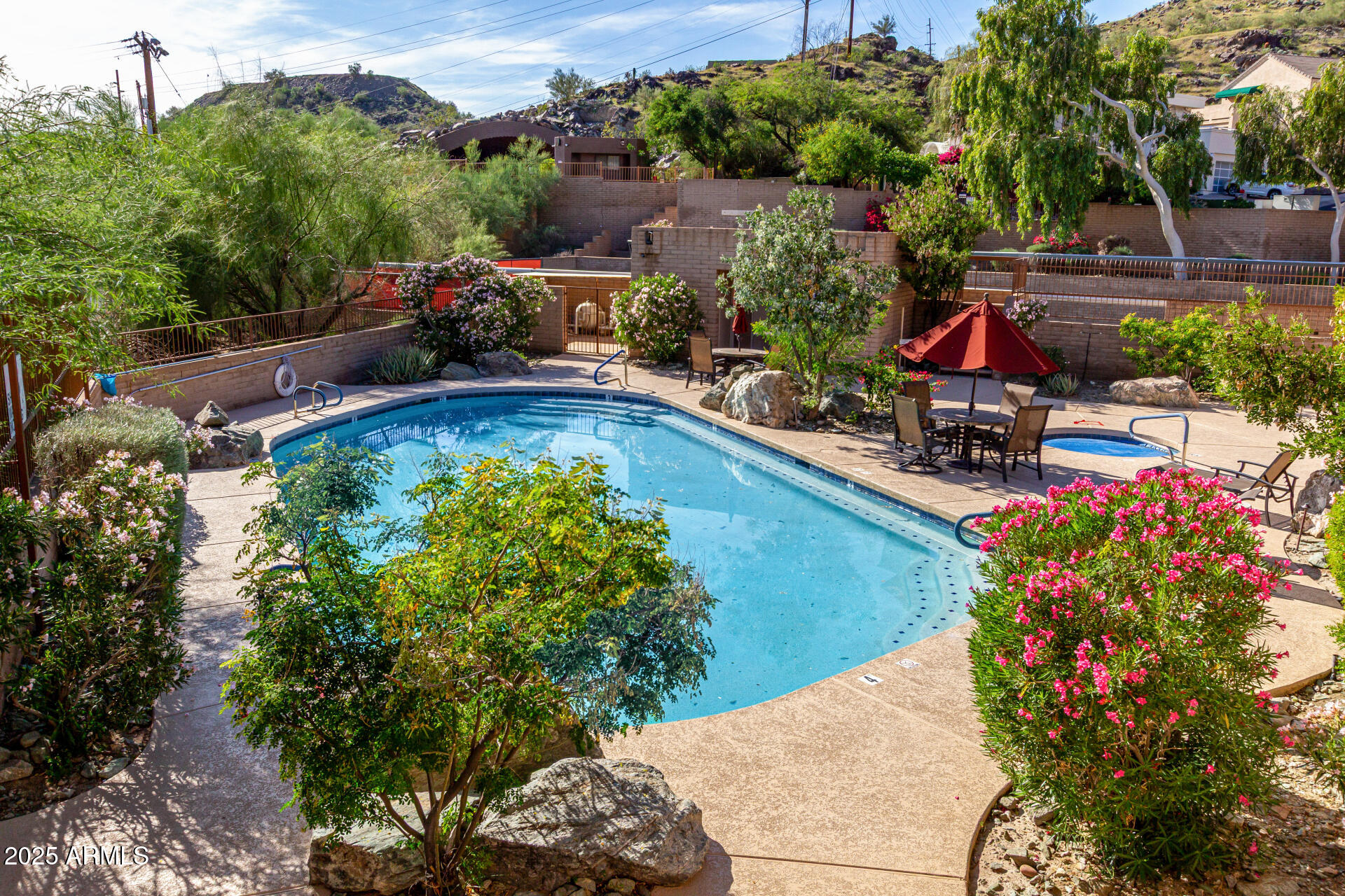 31 West Beryl Avenue Phoenix, AZ 85021 - Photo 54 of 65 an aerial view of a swimming pool with lawn chairs and plants