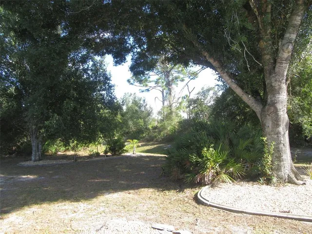 a view of a tree in the yard of a house