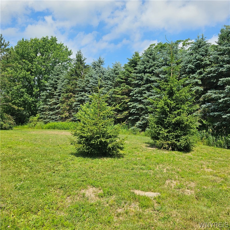10248 Clarksburg Road North Collins, NY 14057 - Photo 30 of 35
