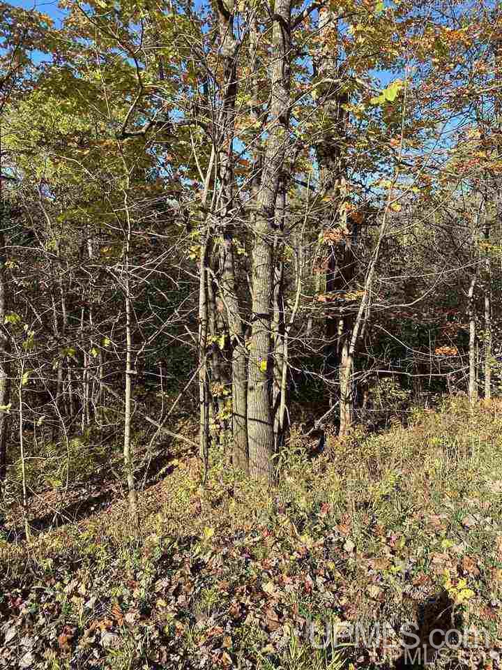 T-wi Wi 54534 Road Hurley, WI 54534 - Photo 20 of 35