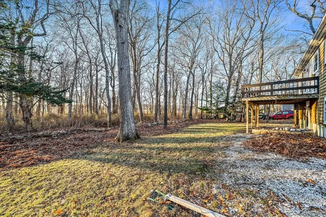 a view of a park with large trees