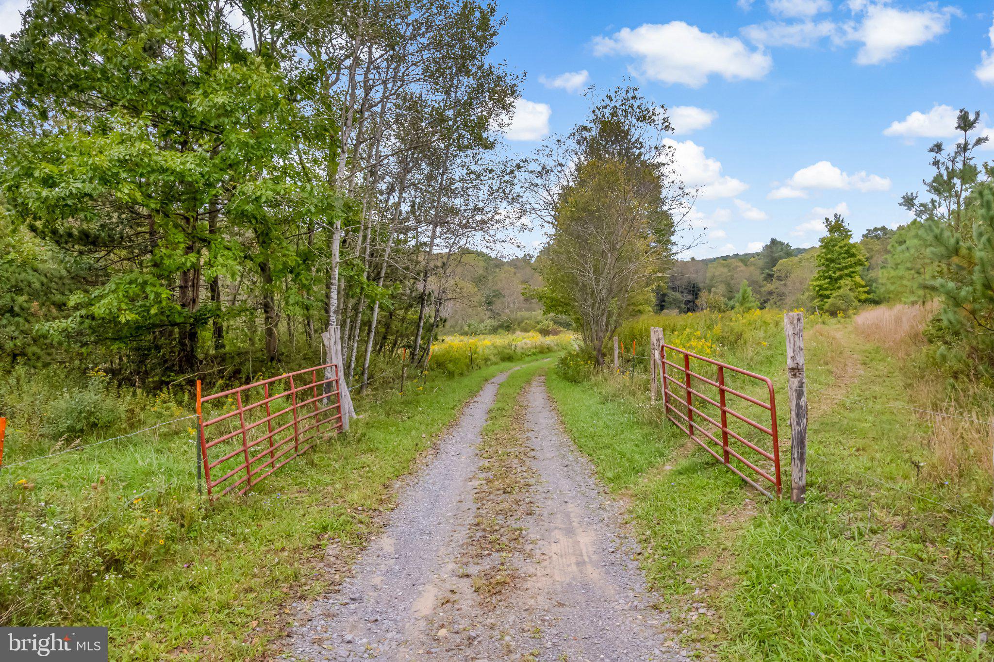 0 Calderwood Road Oakland, MD 21550 - Photo 4 of 38 Left gate to 3.9 ac; Right gate to 41.87 ac