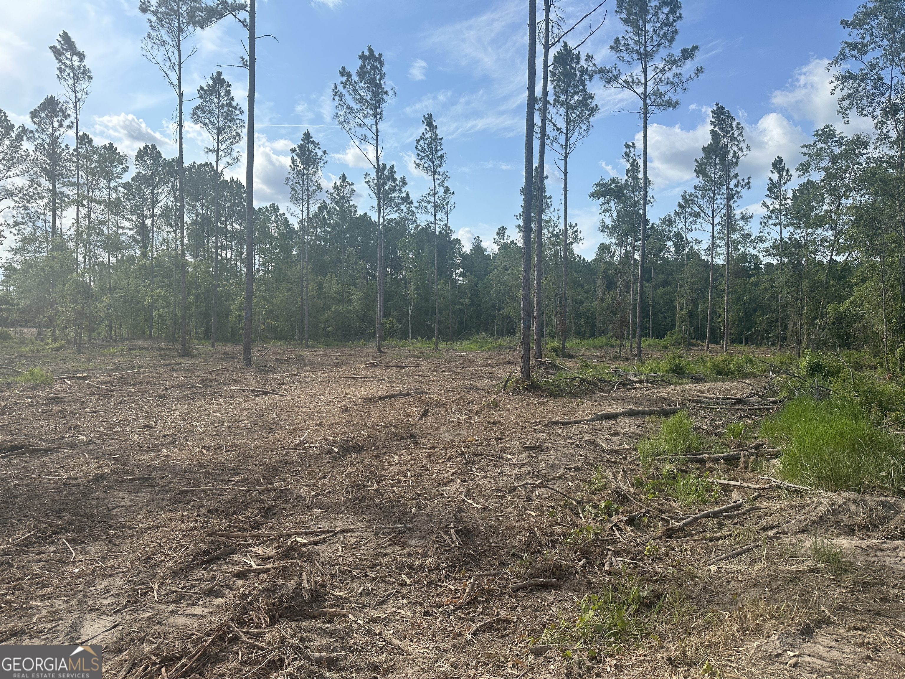 0 Dublin Bed/power Line Road, Unit LOT 2 Pembroke, GA 31321 - Photo 1 of 1 Gallery Image 1
