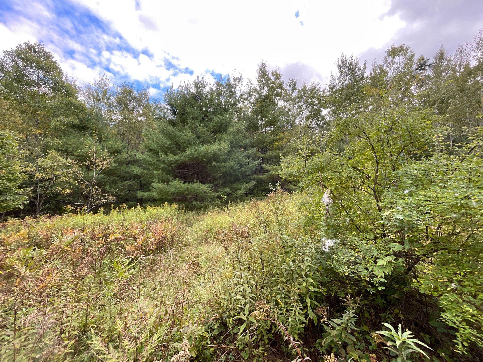 0 Lahar Road South Newfane, VT 05351 - Photo 9 of 20
