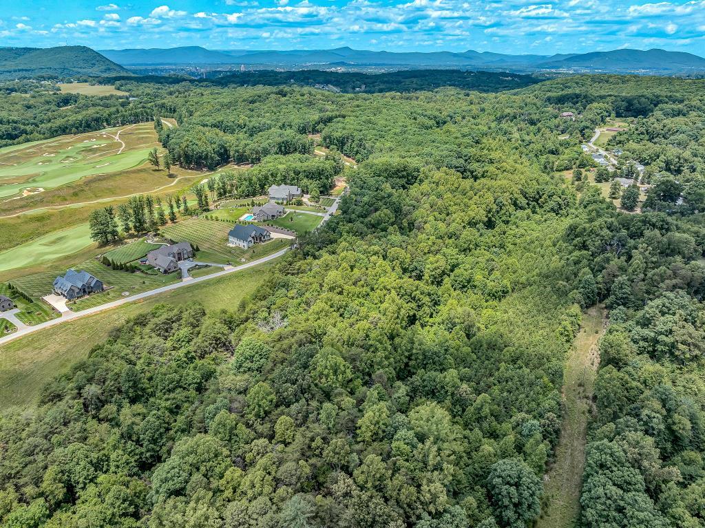 0 Ivyland Road Roanoke, VA 24014 - Photo 2 of 15 IMG_0193