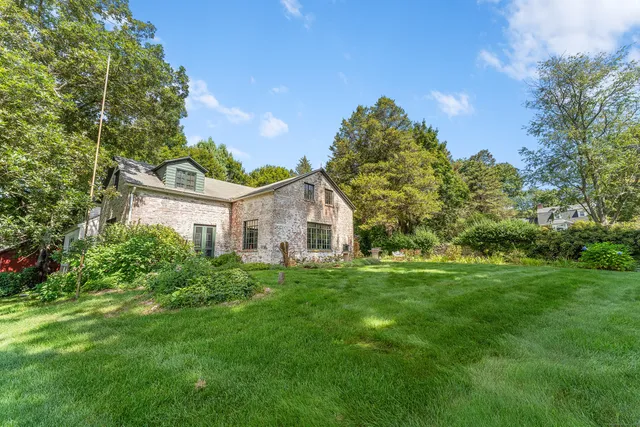 a tall tree in middle of green field