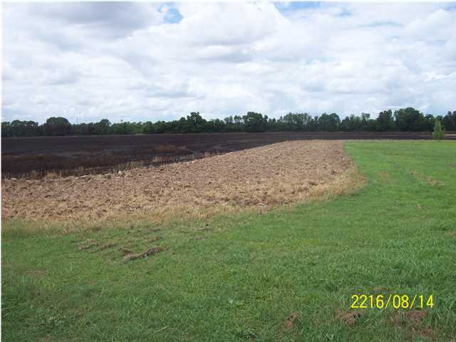 Leonce Road Opelousas, LA 70570 - Photo 1 of 2 Gallery Image 1