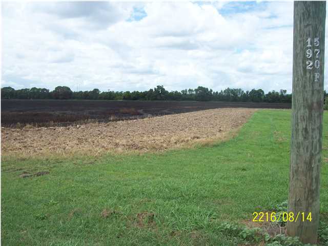Leonce Road Opelousas, LA 70570 - Photo 2 of 2 Gallery Image 2
