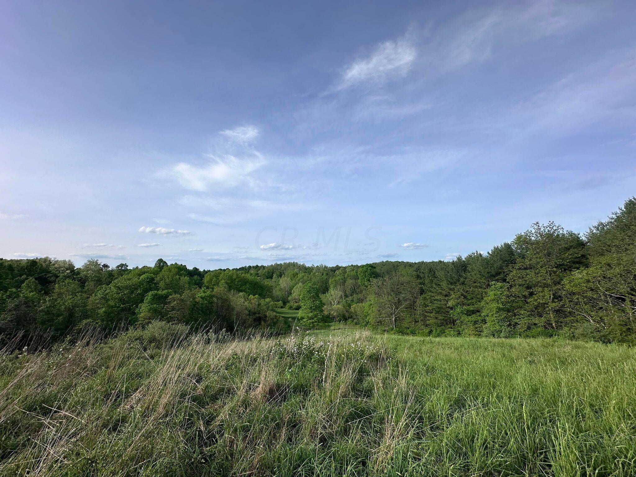 5159 Barr Road McConnelsville, OH 43756 - Photo 11 of 80 Pasture