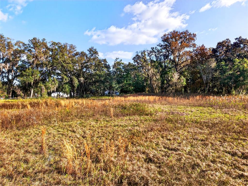Northwest 30th Street Ocala, FL 34475 - Photo 6 of 14 a view of yard with trees