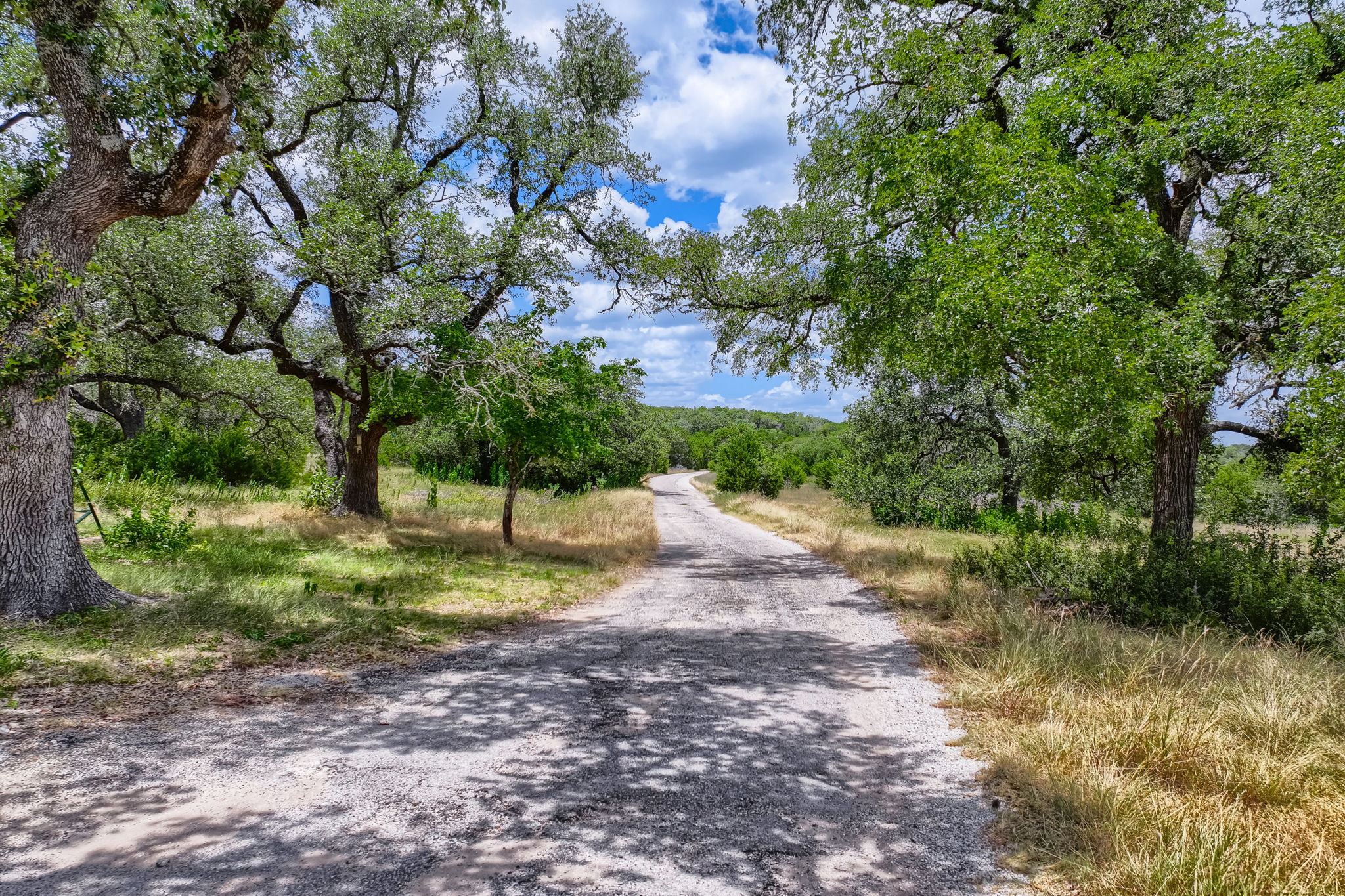 12501 Fitzhugh Road Austin, TX 78736 - Photo 2 of 40 A long, winding gravel driveway leads through a lush, tree-lined landscape.
