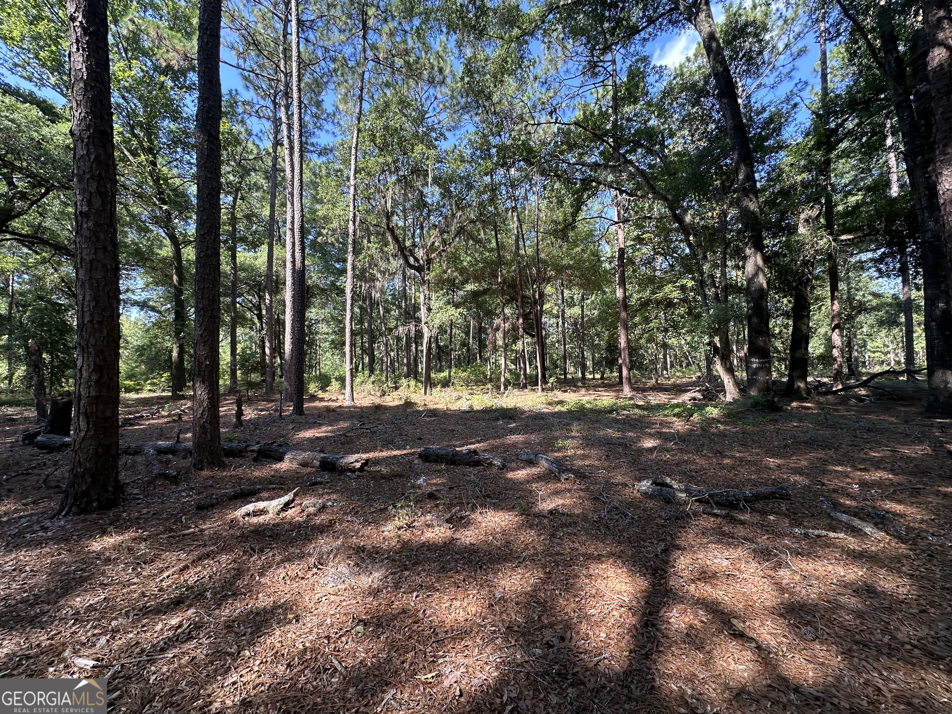 3852 Poor Robin Road Sylvania, GA 30467 - Photo 20 of 24