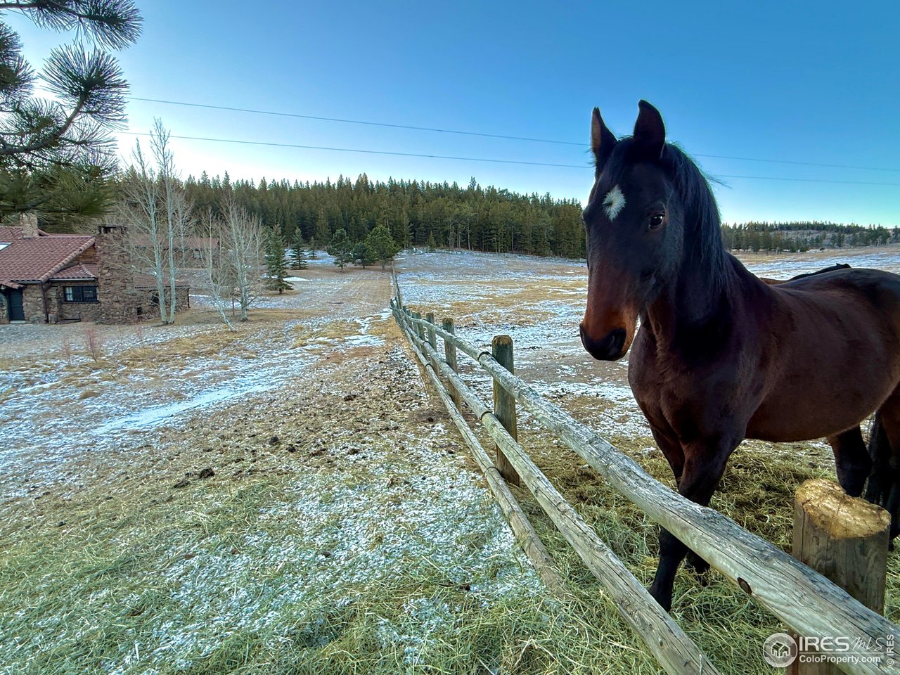 9200 Old Flowers Road Bellvue, CO 80512 - Photo 49 of 50