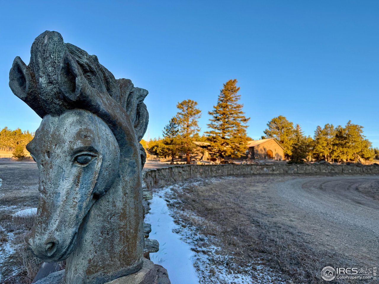 9200 Old Flowers Road Bellvue, CO 80512 - Photo 7 of 50