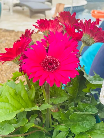 $829,000 | 9731 Haven Port Lane, Ooltewah, TN 37363