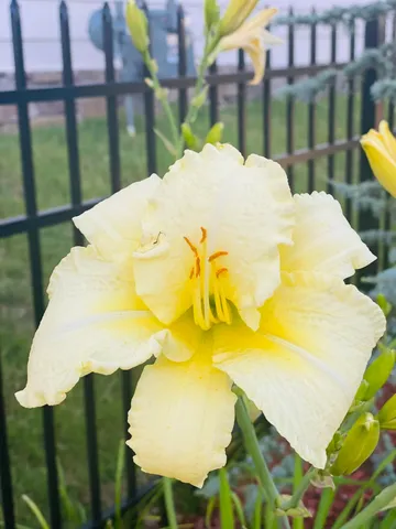 $829,000 | 9731 Haven Port Lane, Ooltewah, TN 37363