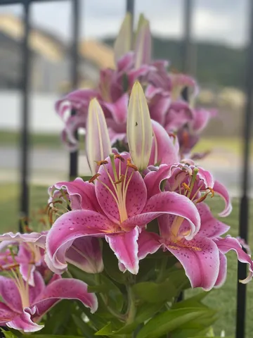 $829,000 | 9731 Haven Port Lane, Ooltewah, TN 37363