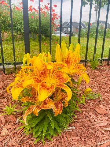 $829,000 | 9731 Haven Port Lane, Ooltewah, TN 37363