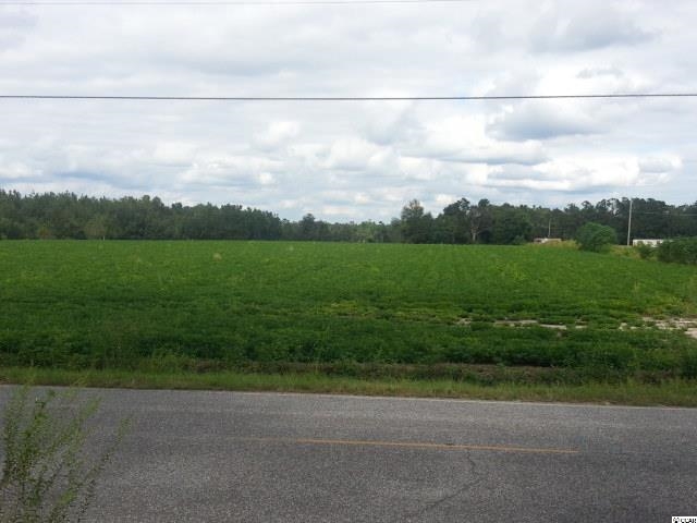 2507 Gilchrist Road Mullins, SC 29574 - Photo 10 of 10 Gallery Image 10