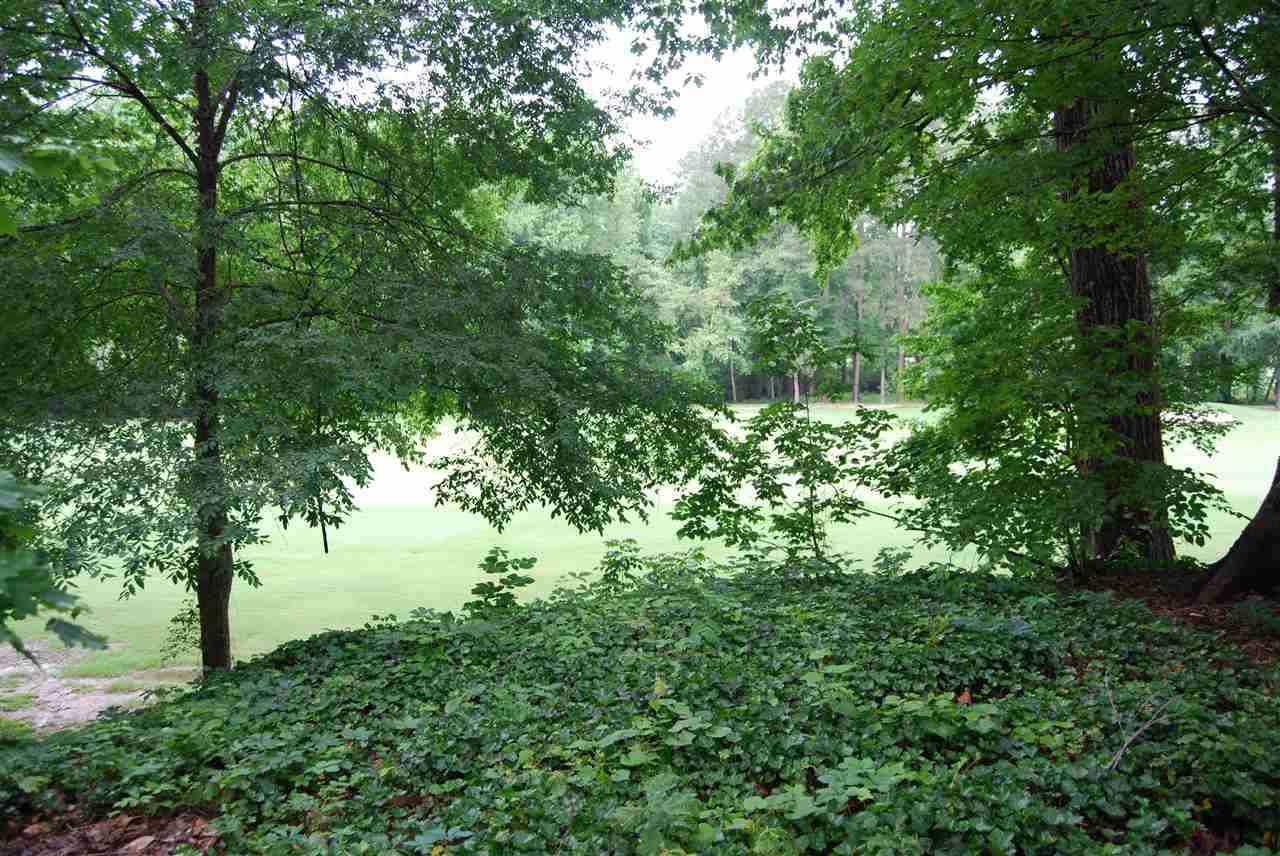 3626 Hathaway Road Durham, NC 27707 - Photo 4 of 4 a view of a lush green forest