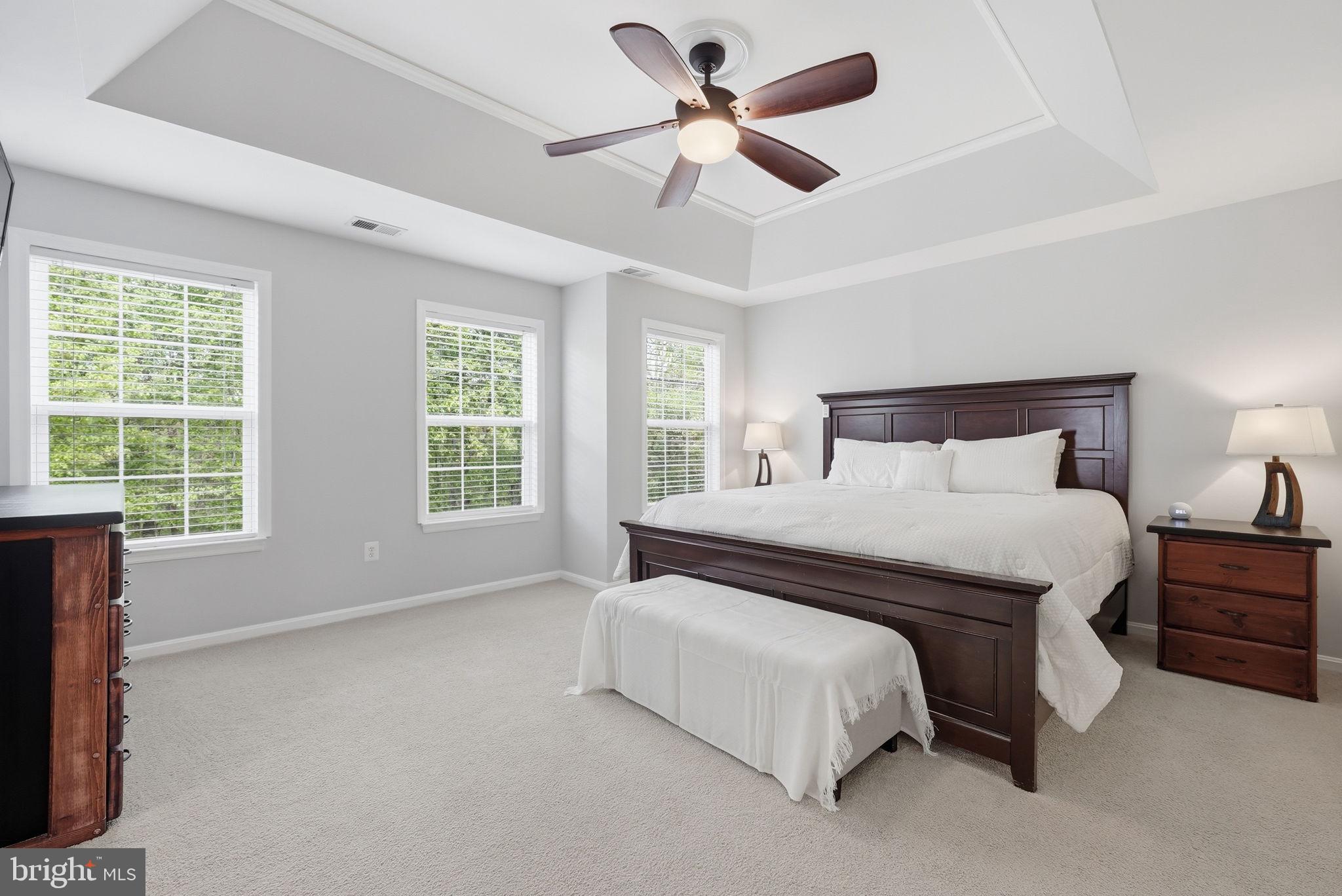 8315 Shimmering Rock Road Gainesville, VA 20155 - Photo 23 of 49 Primary BR w/ Tray Ceiling