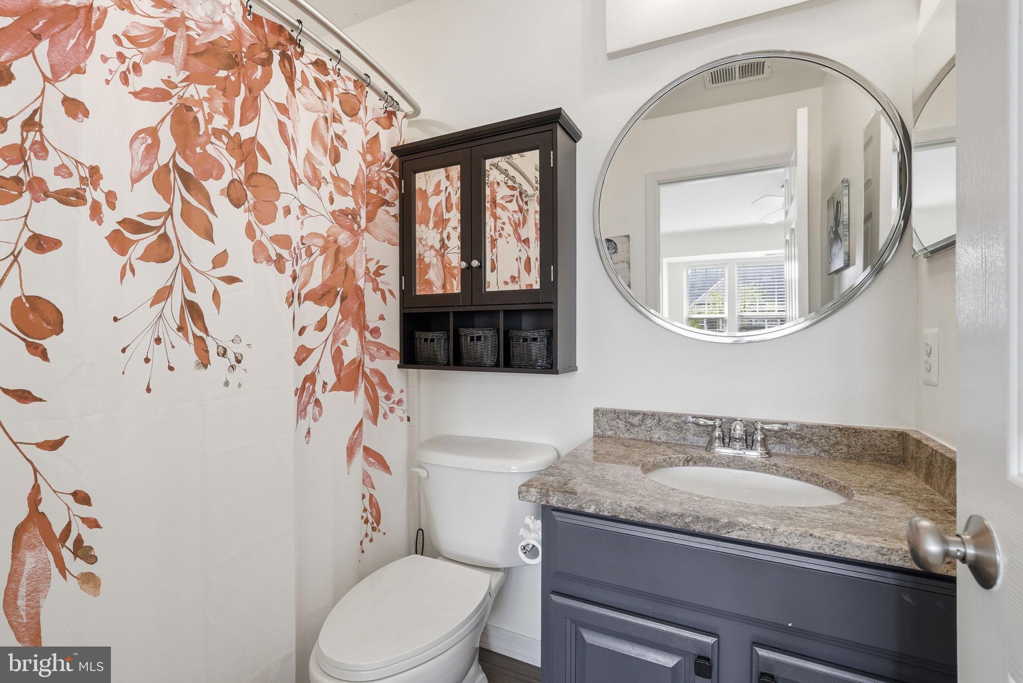 8315 Shimmering Rock Road Gainesville, VA 20155 - Photo 32 of 55 Princess Bath