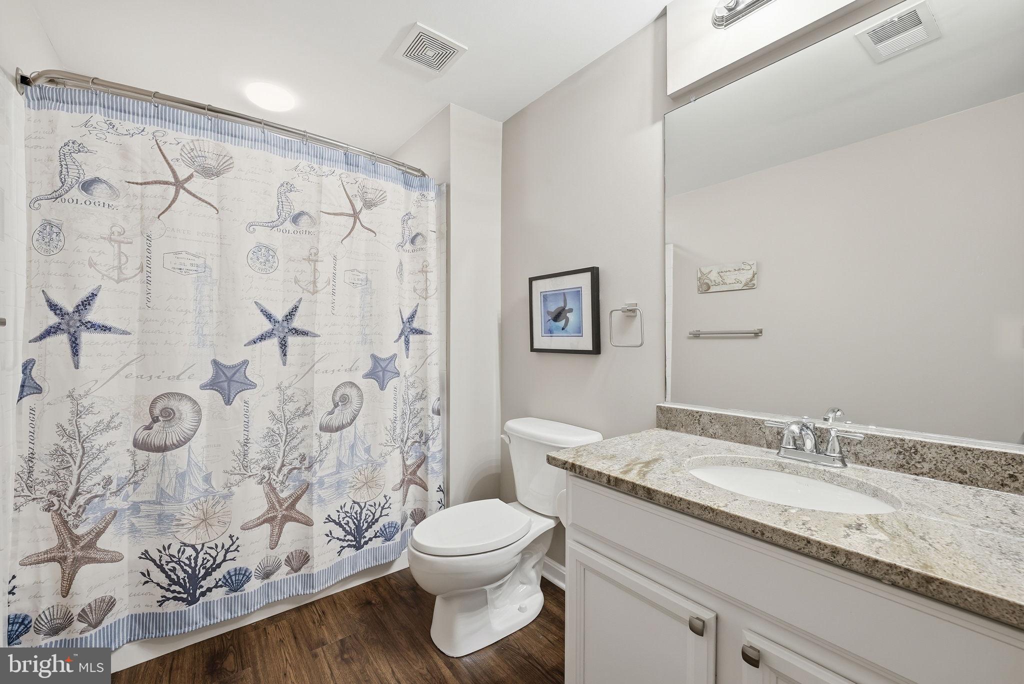 8315 Shimmering Rock Road Gainesville, VA 20155 - Photo 40 of 49 Basement Bath