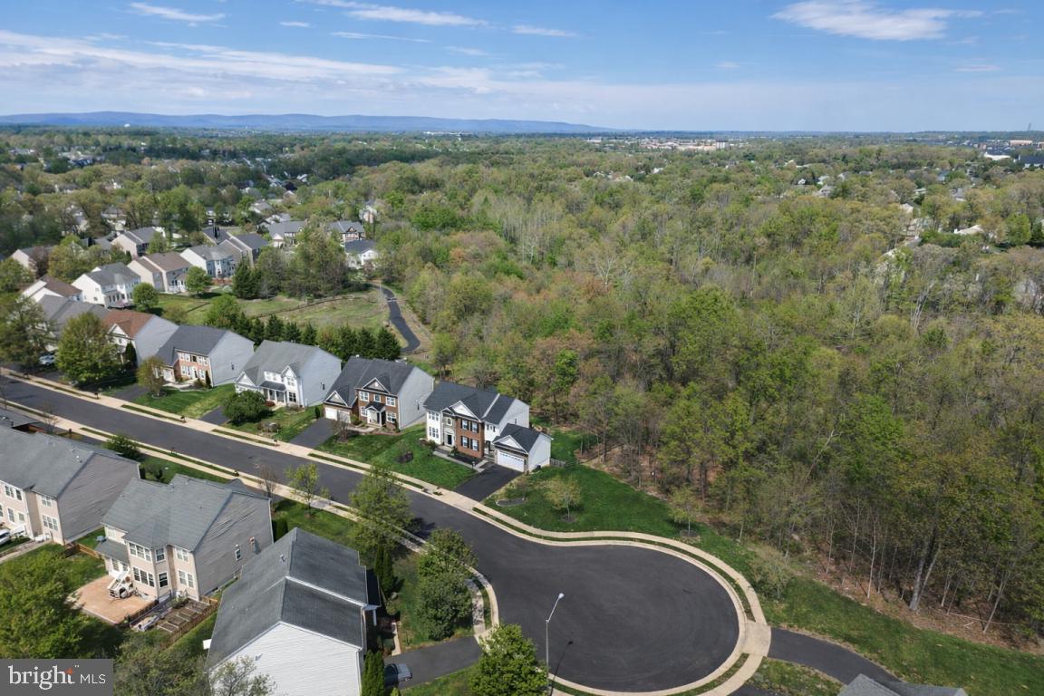 8315 Shimmering Rock Road Gainesville, VA 20155 - Photo 53 of 55 Aerial Shot