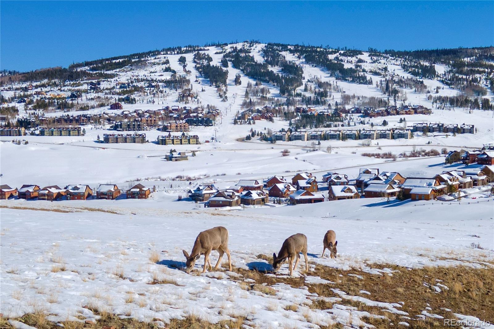 109 Saddle Mountain Camp Road Granby, CO 80446 - Photo 47 of 50