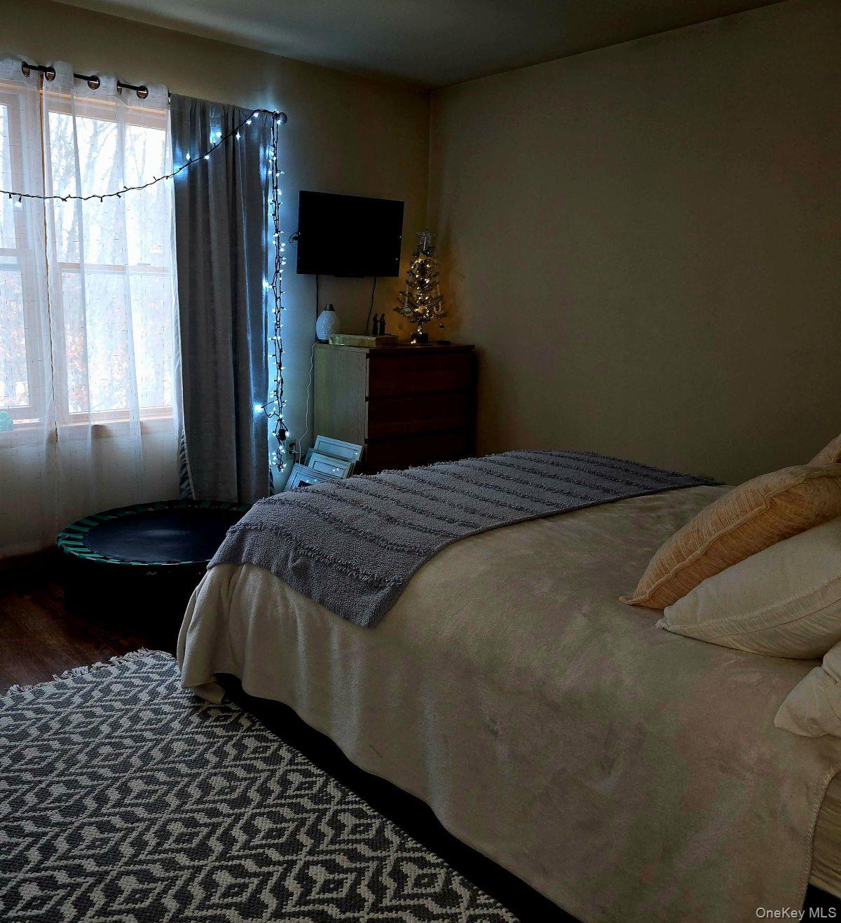 85 Swinging Bridge Estate Road Monticello, NY 12701 - Photo 11 of 12 a bedroom with a bed and a television