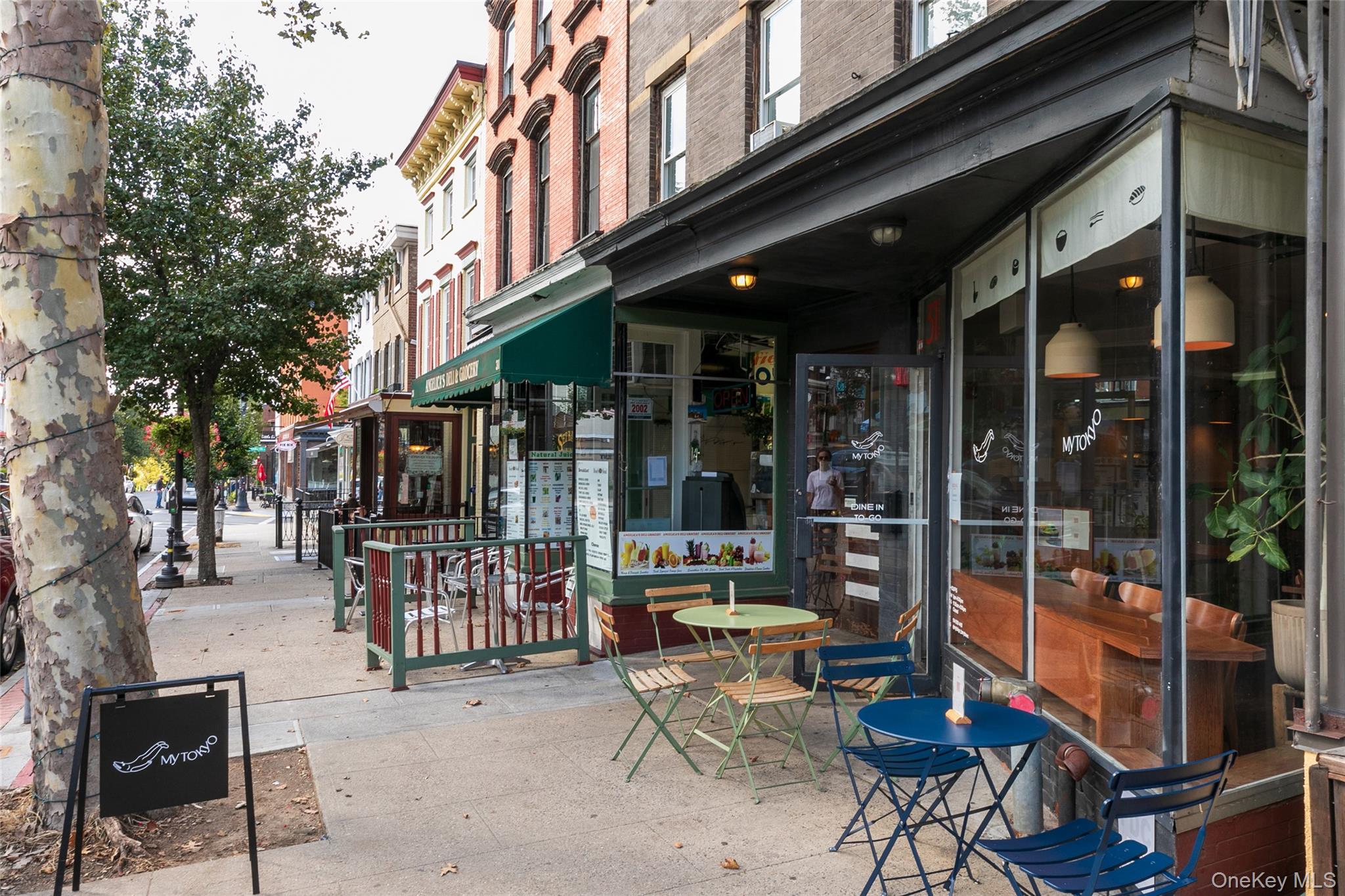 11 Elm Street, Unit 2 Sleepy Hollow, NY 10591 - Photo 23 of 33 a view of street with sitting area