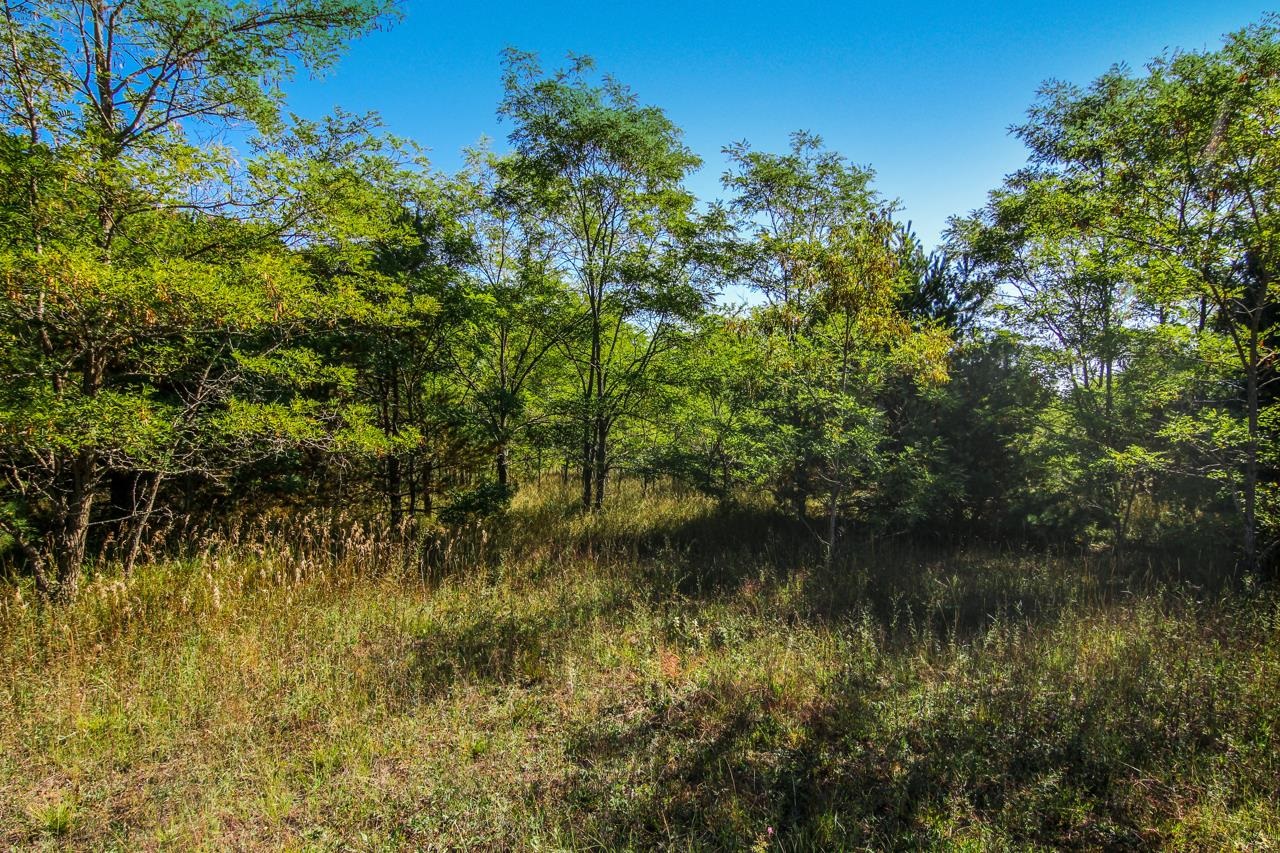 A4 Wallaker Road Benzonia, MI 49616 - Photo 13 of 17
