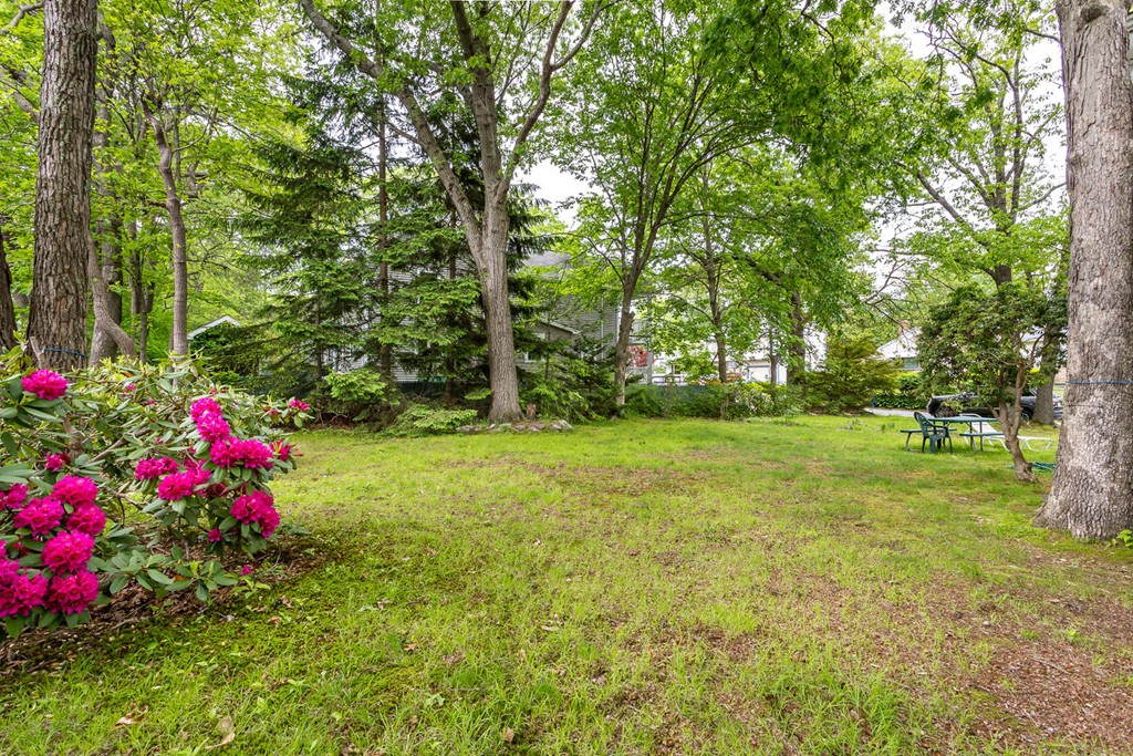 32 Rockefeller Street Randolph, MA 02368 - Photo 11 of 13 Gallery Image 11