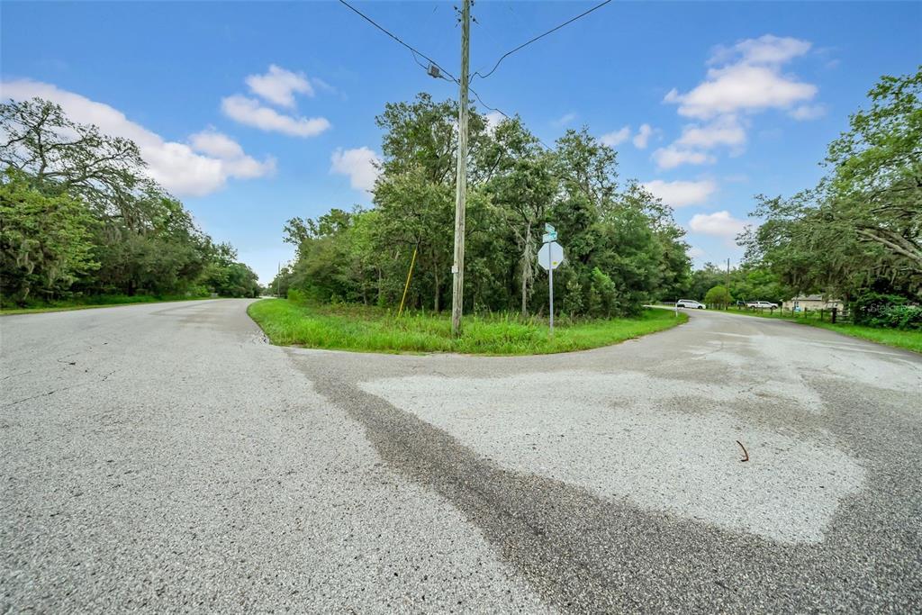 a view of a park with plants and a large tree
