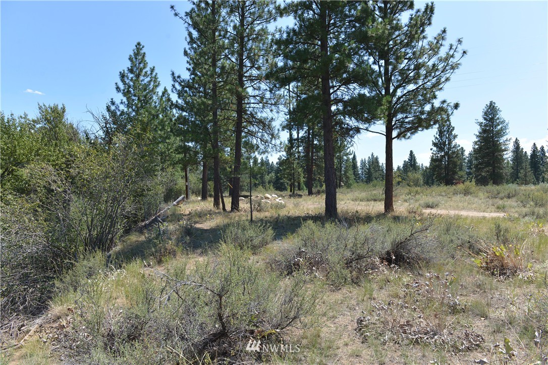 20 Riffle Loop Winthrop, WA 98862 - Photo 18 of 22 Gallery Image 18