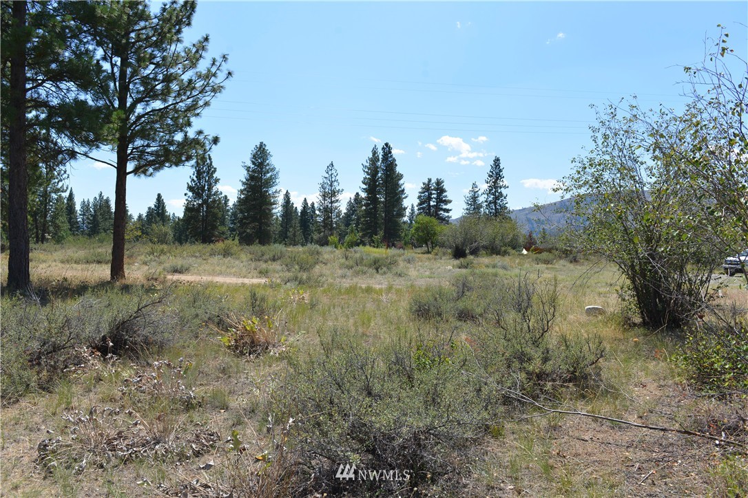 20 Riffle Loop Winthrop, WA 98862 - Photo 19 of 22 Gallery Image 19