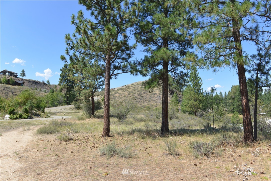 20 Riffle Loop Winthrop, WA 98862 - Photo 20 of 22 Gallery Image 20