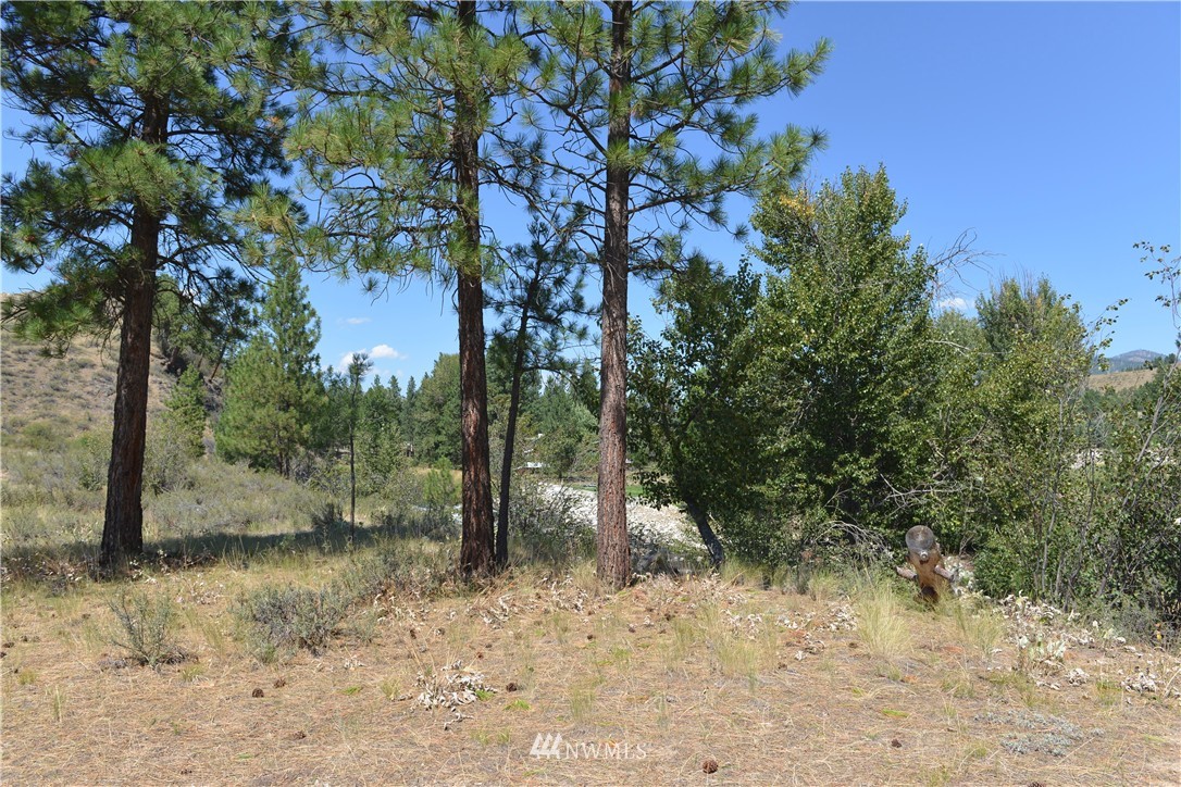 20 Riffle Loop Winthrop, WA 98862 - Photo 21 of 22 Gallery Image 21
